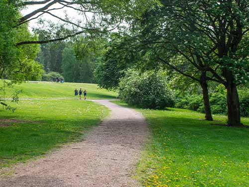 A gravel path between two green fields with tress also lining it