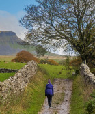 A person walking along a country path with a stone wall next them and fields beyond it. in the distance a hill can be seen.