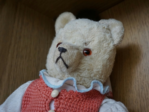 Close-up of an old teddy bear