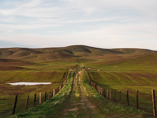 Grassy path cutting through two fields in the Yorkshire Dales