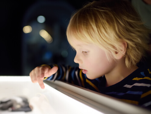 a child looking into an exhibit that is lit up.