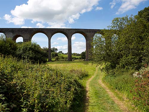 A large viaduct surrounded by greenery on a sunny day