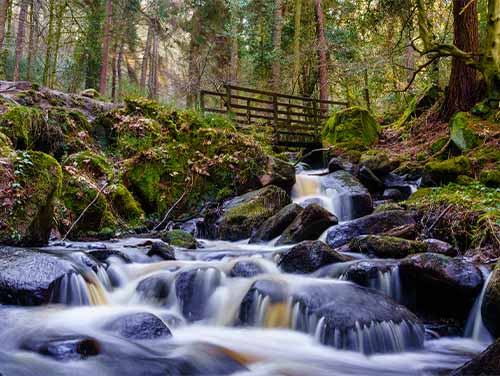 A fast flowing stream going under a bridge in woodland